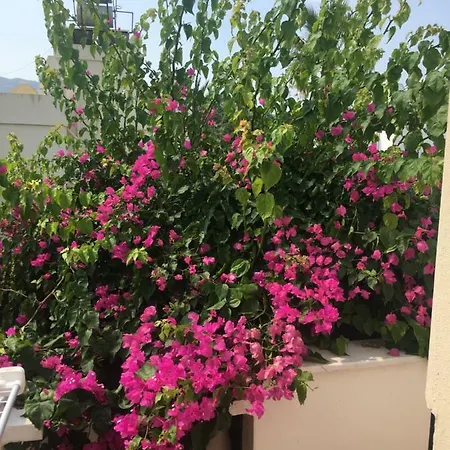 Villa Nora Yalıkavak